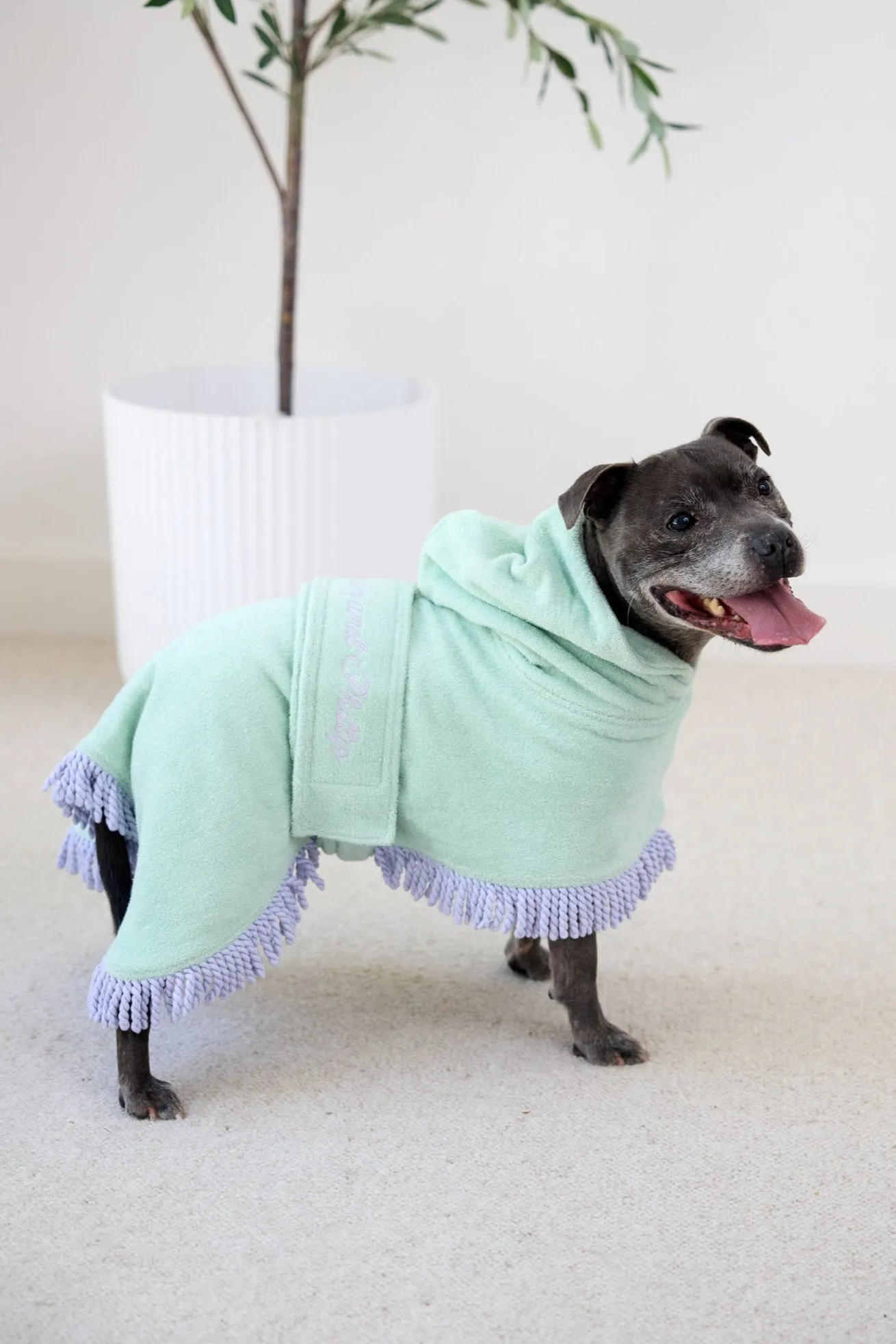 Tassel Towel Snuggle Buddy Dog Robe | Minty Green