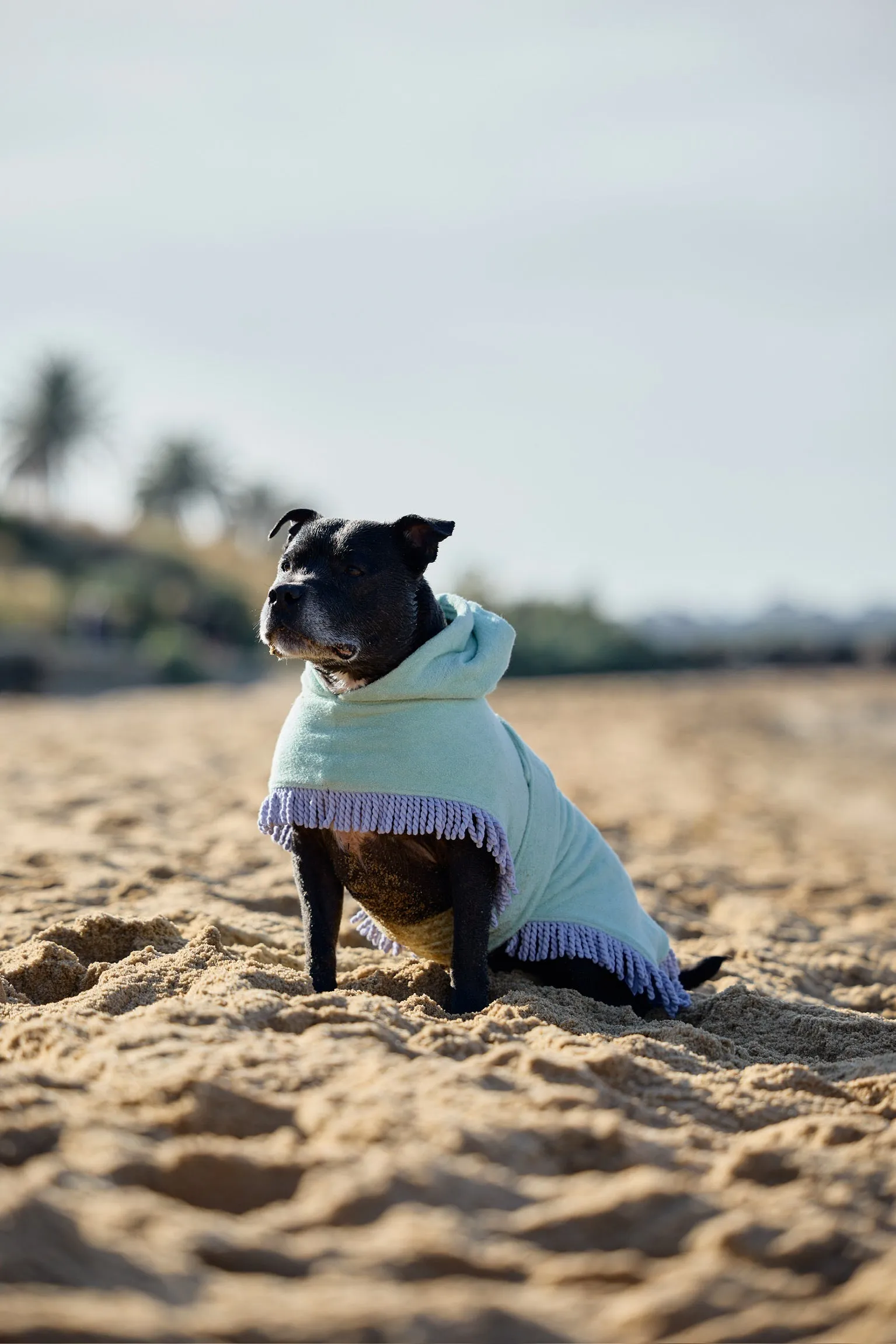 Tassel Towel Snuggle Buddy Dog Robe | Minty Green