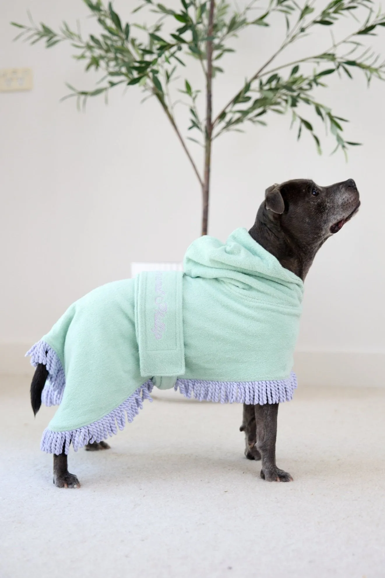 Tassel Towel Snuggle Buddy Dog Robe | Minty Green