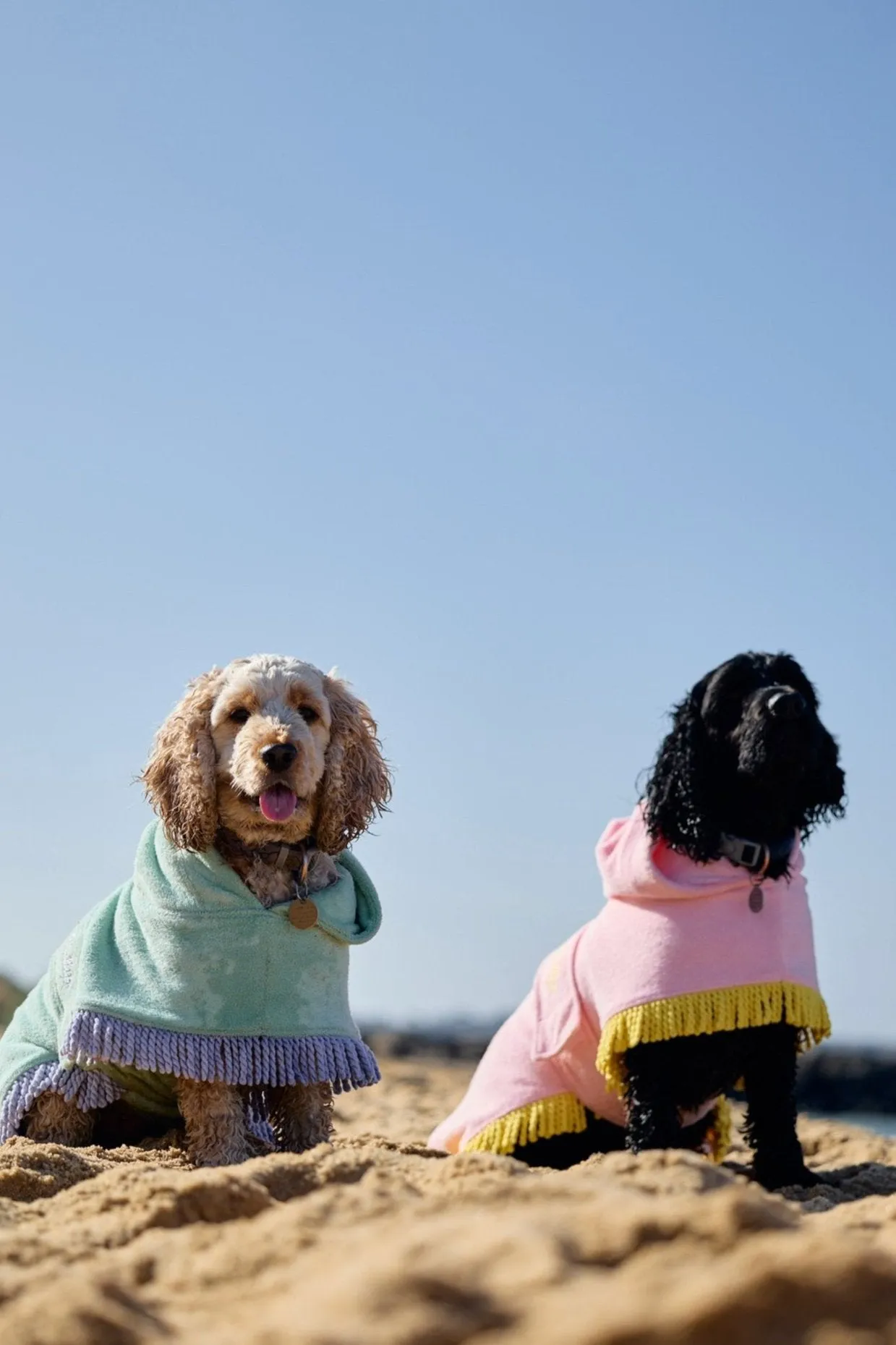 Tassel Towel Snuggle Buddy Dog Robe | Minty Green